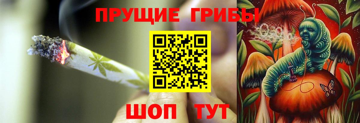 Лабинск  Псилоцибиновые грибы Psilocybe  Вход с VPN 
